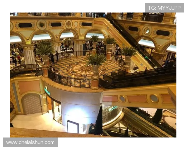 澳门六张赌牌的详细介绍与申请流程全攻略，助你轻松掌握合法经营诀窍